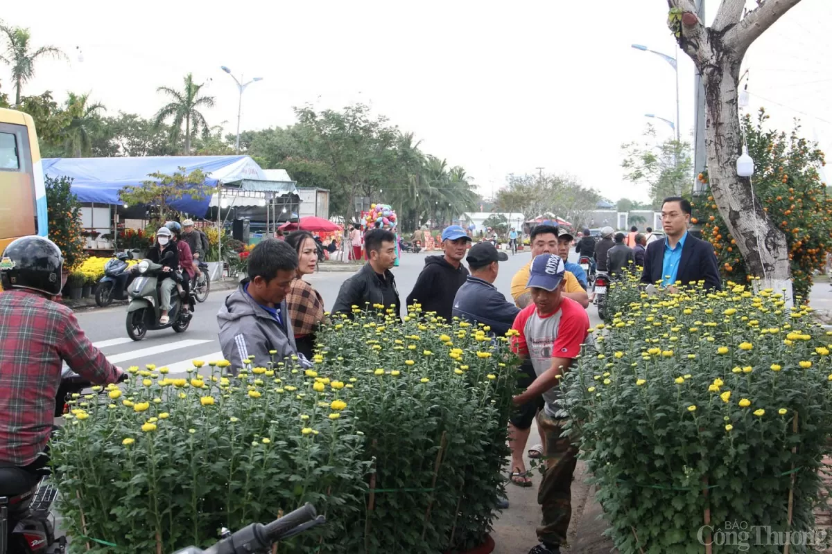 Nhiều cơ quan, đơn vị, doanh nghiệp đặt mua cúc chậu để tạo không khí Xuân cho nơi làm việc