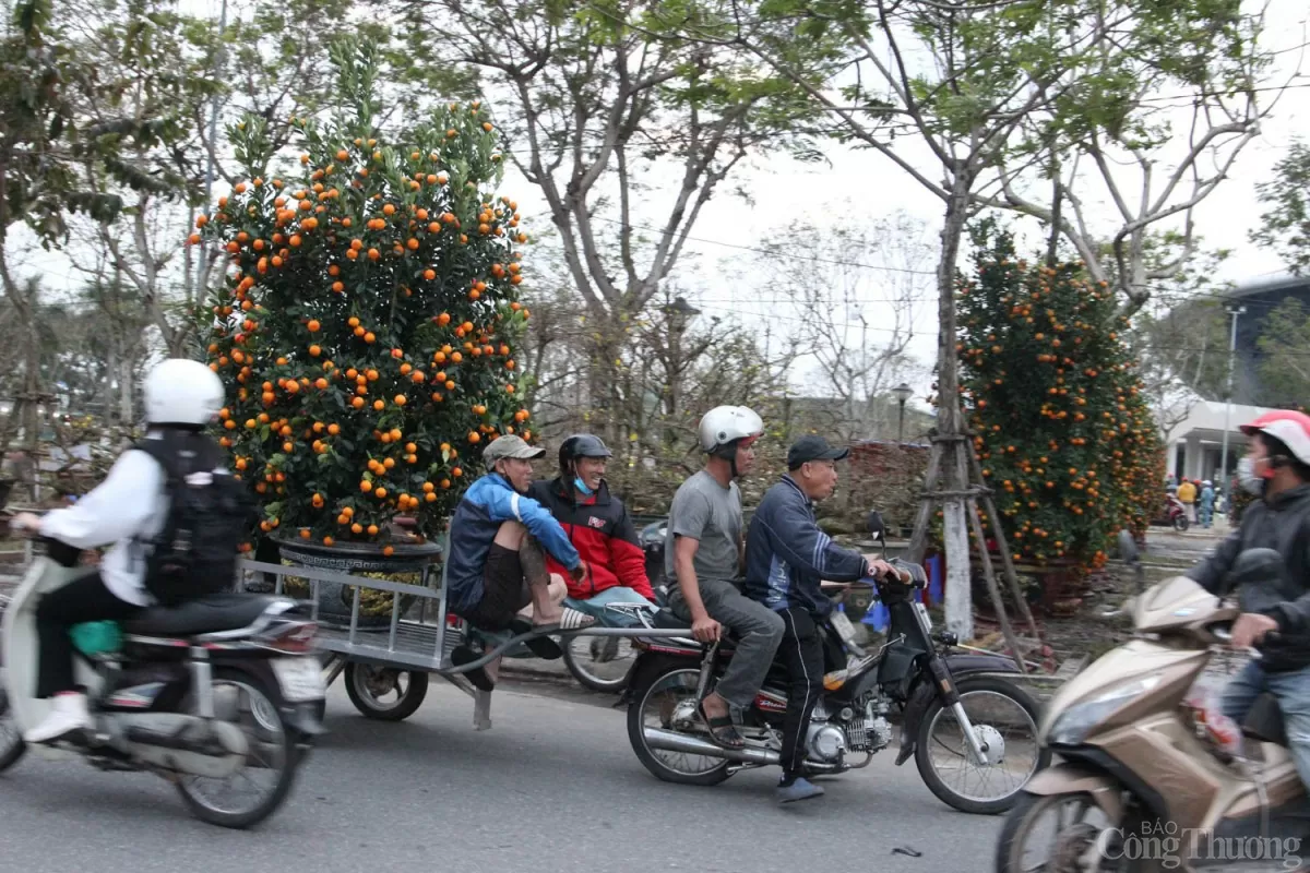 Nhiều lao động phổ thông làm thêm việc chở hoa Tết cho thu nhập lên đến hàng triệu đồng/ngày