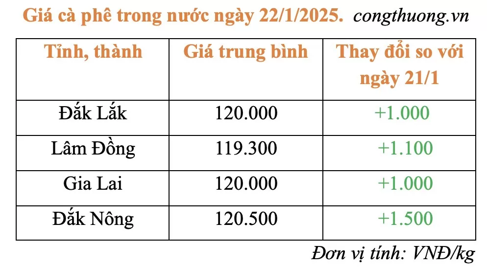 Giá cà phê hôm nay 22/1/2025: