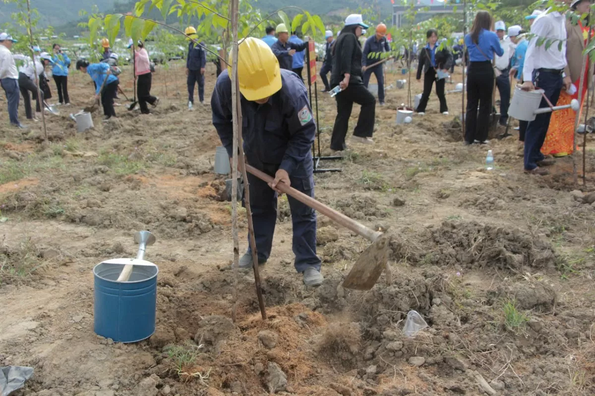 Khánh Hòa phát động Tết trồng cây nhớ ơn Bác Hồ