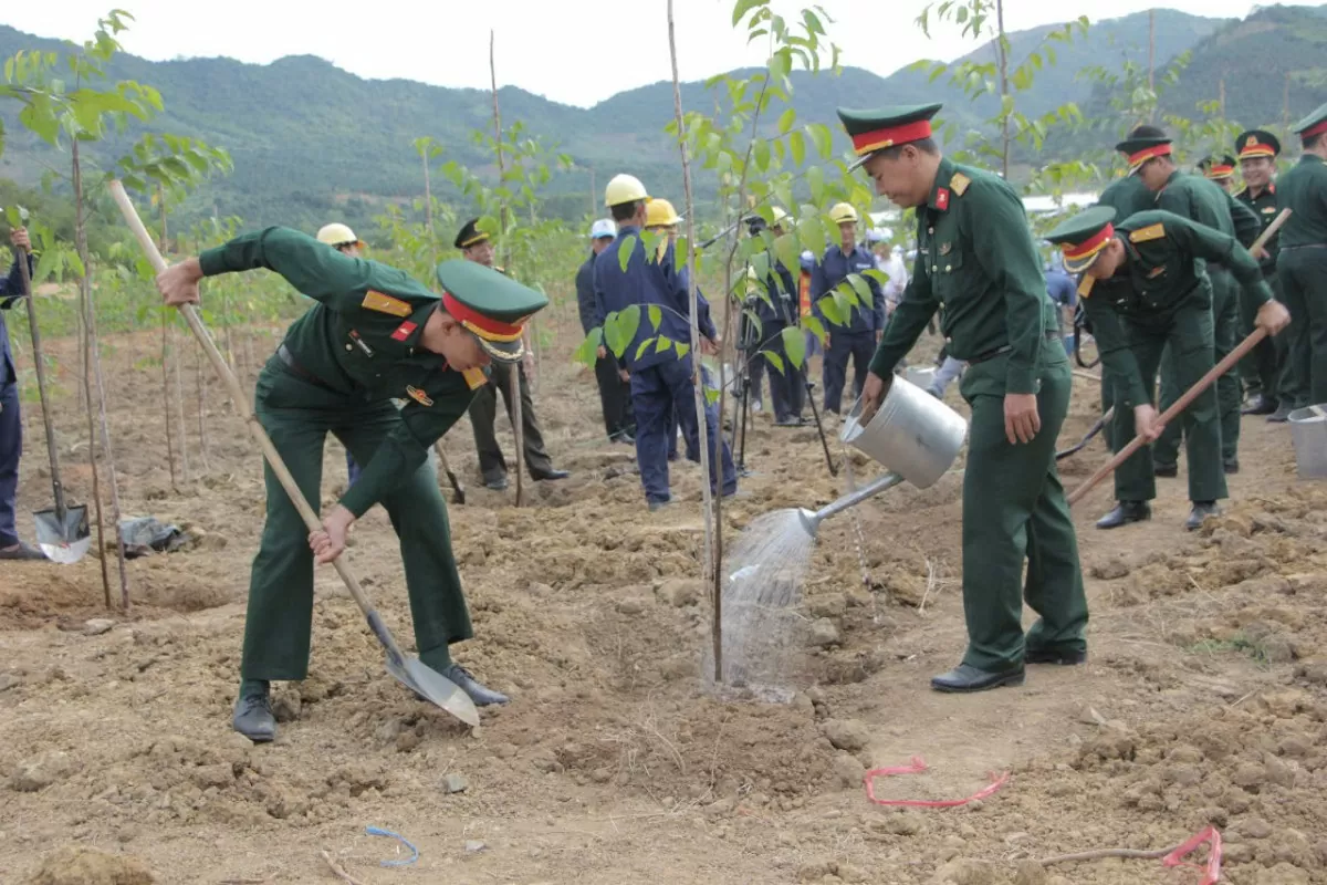 Khánh Hòa phát động Tết trồng cây nhớ ơn Bác Hồ