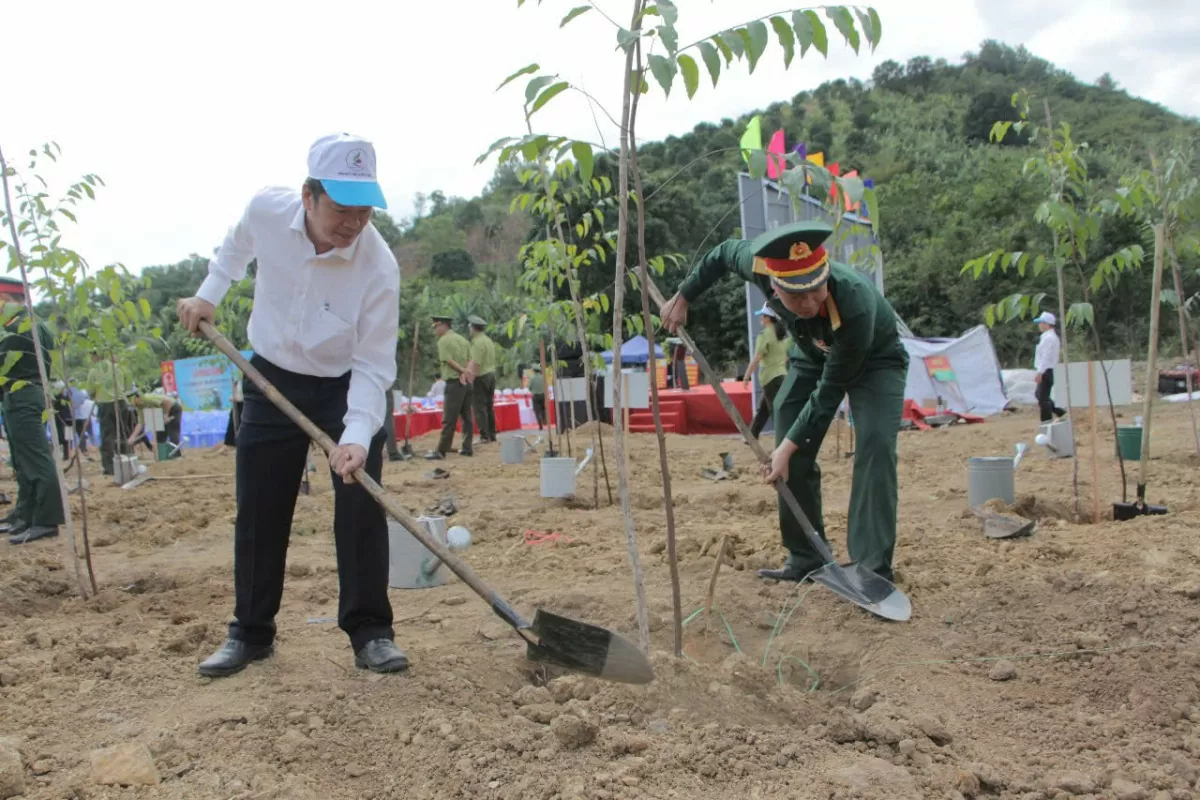 Khánh Hòa phát động Tết trồng cây nhớ ơn Bác Hồ