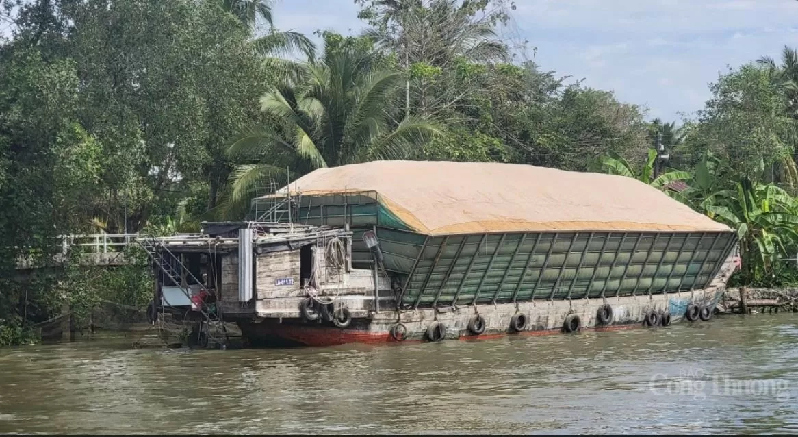 Giá lúa sau tết có xu hướng tăng