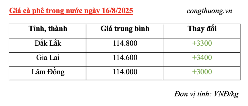 Bảng giá cà phê trong nước sáng ngày 16/8/2025