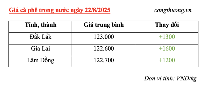 Bảng giá cà phê trong nước sáng ngày 21/8/2025