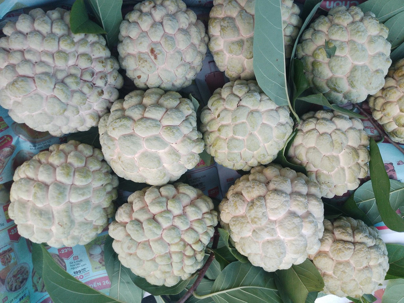 Người dân xứ Lạng không chỉ chú trọng đến chất lượng mà còn tập trung đẩy mạnh và phát triển thương hiệu na Cai Kinh. Ảnh: Nguyễn Thảo