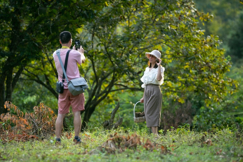 Du khách chụp ảnh ở vườn dẻ. Ảnh: Tuấn Anh