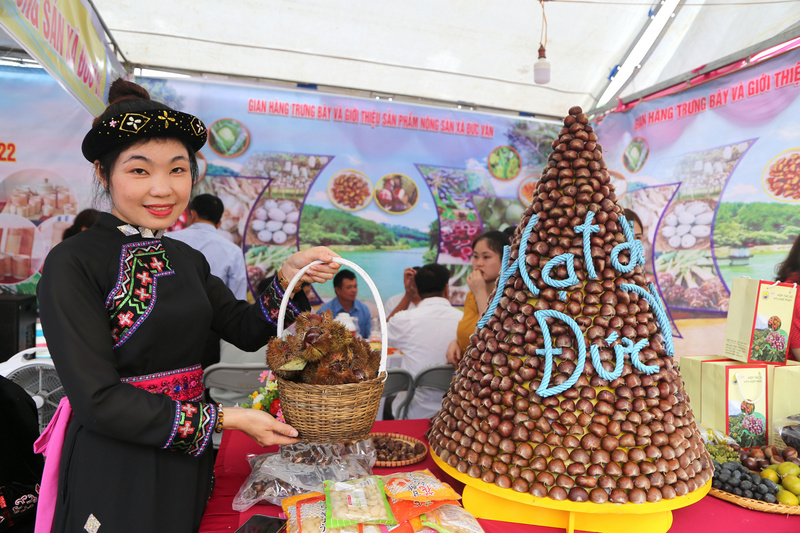 Bà con dân tộc, miền núi tỉnh Thái Nguyên mang hạt dẻ ván đi giới thiệu tại các hội trợ, triển lãm. Ảnh: Tuấn Anh