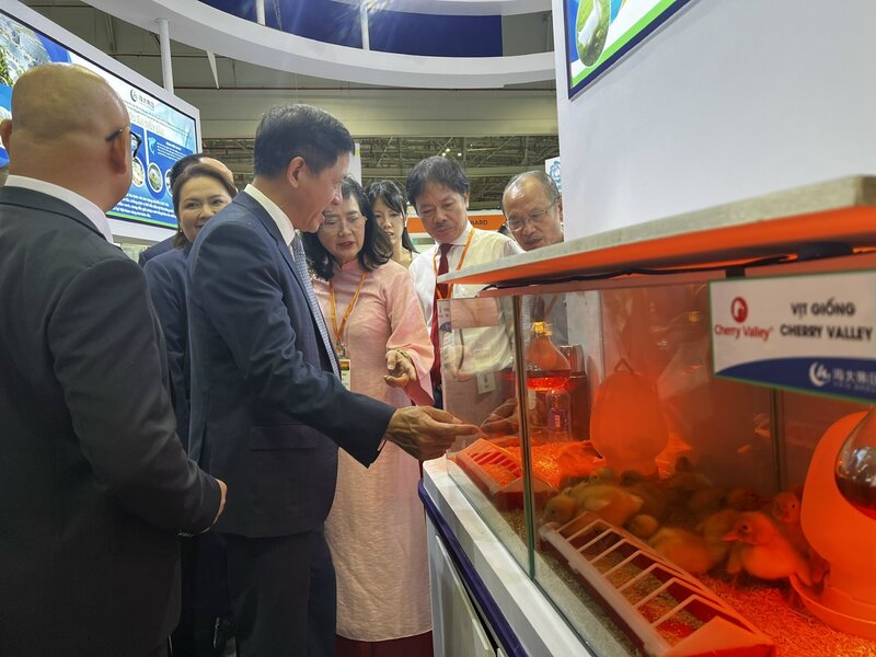 Doanh nghiệp giới thiệu kỹ thuật vịt giống tại triển lãm Vietstock 2025. Ảnh Phương Hoa