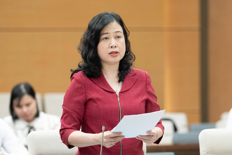 Bộ trưởng Bộ Y tế Đào Hồng Lan.