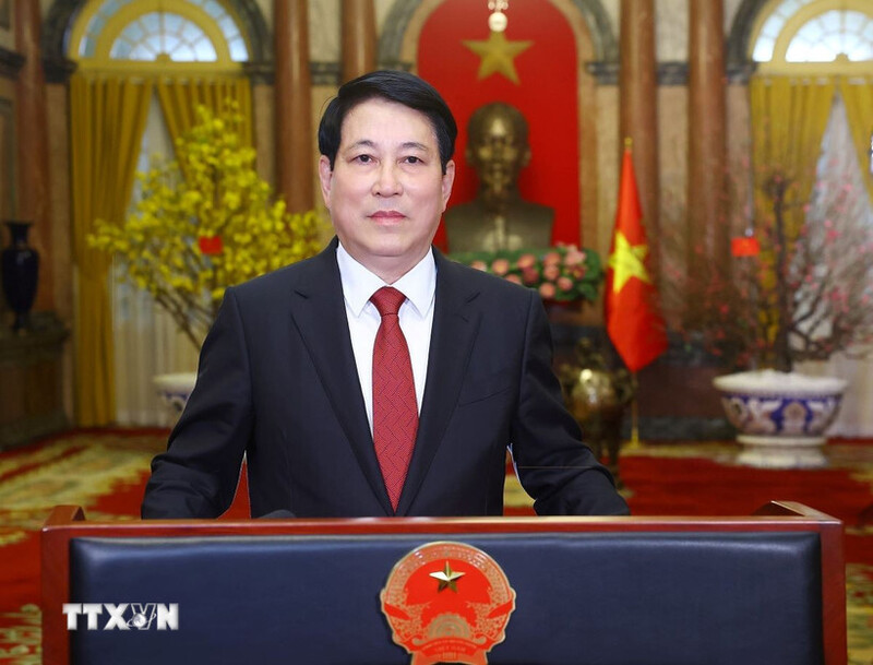 Chủ tịch nước Lương Cường. Ảnh: Lâm Khánh/TTXVN