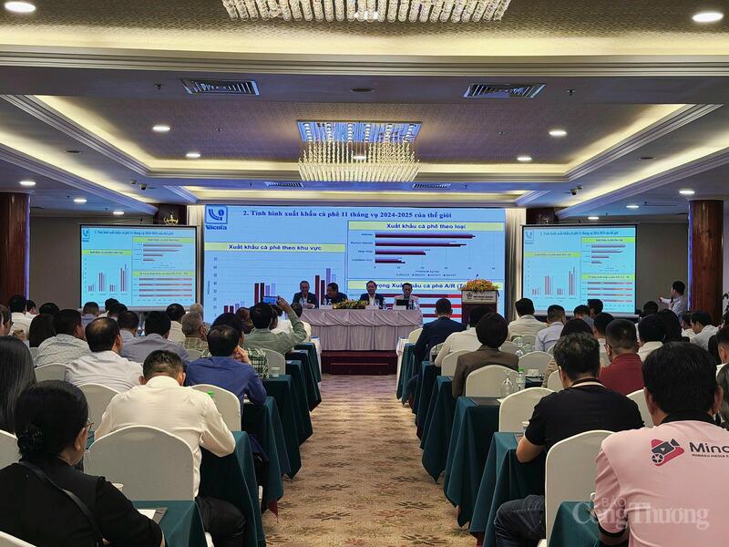 Hiệp hội Cà phê - Ca cao Việt Nam tổ chức Hội nghị tổng kết niên vụ cà phê 2024 - 2025 và đề ra phương hướng nhiệm vụ niên vụ 2025 - 2026.