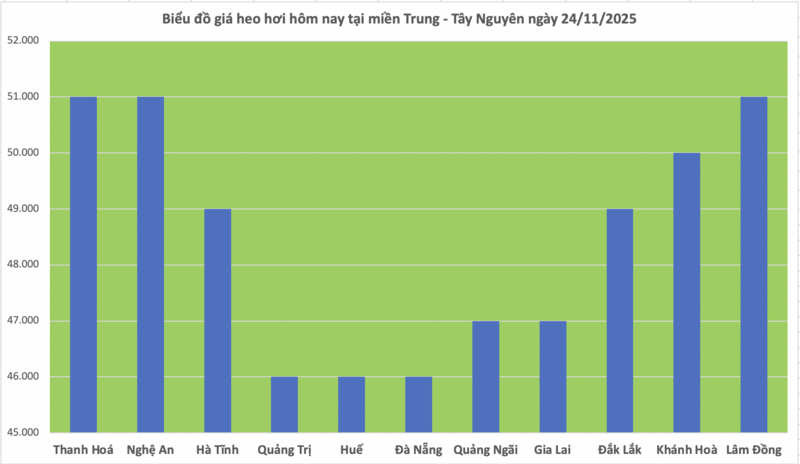 Giá heo hơi hôm nay 24/11/2025: Đi ngang cả 3 miền - 2