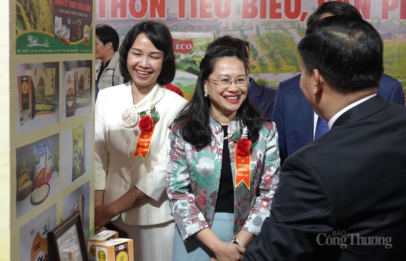 Bà Đỗ Thị Minh Trâm, Phó Cục trưởng Cục Đổi mới sáng tạo, Chuyển đổi xanh và Khuyến công (Bộ Công Thương) cùng các đại biểu tham quan các gian hàng