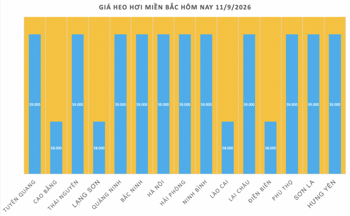 Giá heo hơi hôm nay 11/9/2026: Tiếp tục giảm cục bộ tại miền Bắc - 1