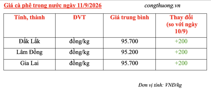 Giá cà phê hôm nay 11/9/2026: Tăng nhẹ 200 đồng/kg - 4