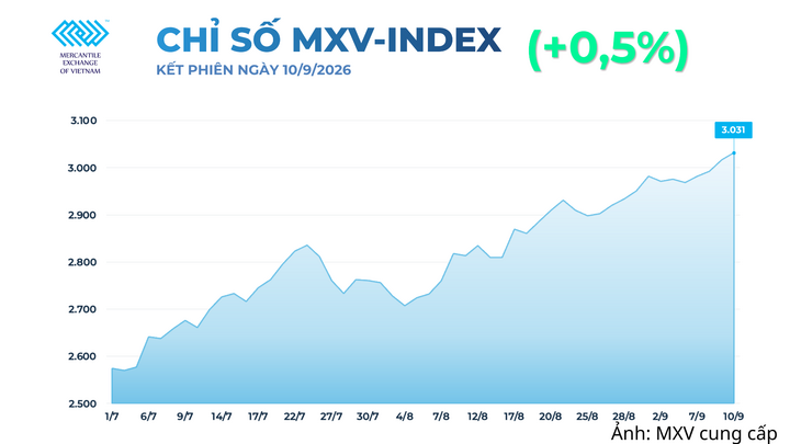 Chỉ số MXV-Index