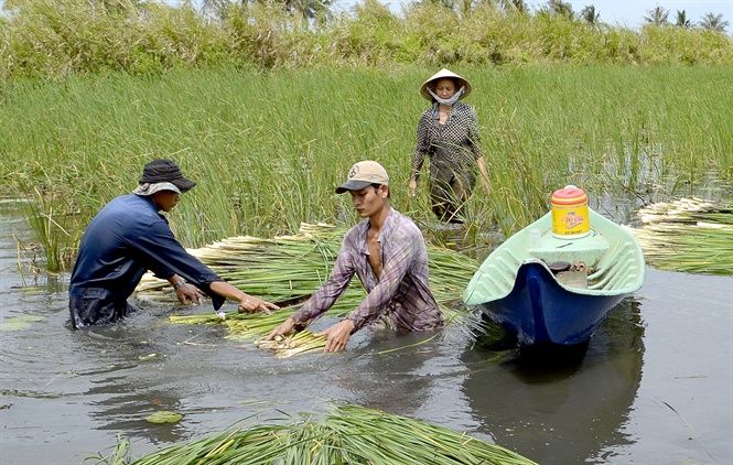10-50-04_1_nguoi_dn_di_phuong_thu_hoch_bon_bon.jpg